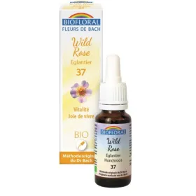 Fleur de Bach BIO Wild rose (Églantier) Flacon 20 ml BIOFLORAL