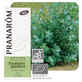 Huile essentielle Eucalyptus globuleux BIO 10ml PRANAROM