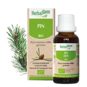 Pin des montagnes BIO Macérat mère bourgeons Flacon 30 ml HERBALGEM