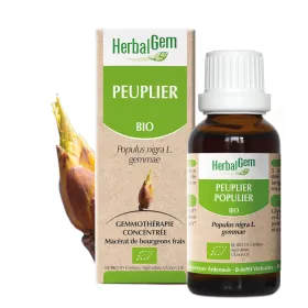 Peuplier BIO Macérat mère bourgeons Flacon 50 ml HERBALGEM