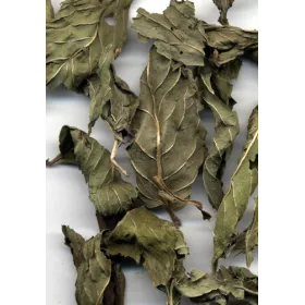 Menthe poivrée BIO Feuille coupée Tisane vrac 250 g