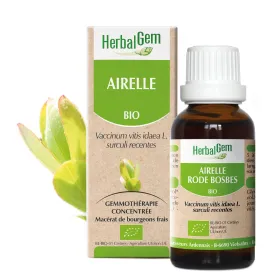 Airelle BIO Macérat mère Bourgeons Flacon 30 ml HERBALGEM