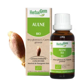 Aulne BIO Macerat mère bourgeons Flacon 30 ml HERBALGEM