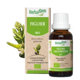 Figuier BIO Macérat mère bourgeons Flacon 30 ml HERBALGEM